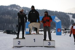 Lenk 2012 SM